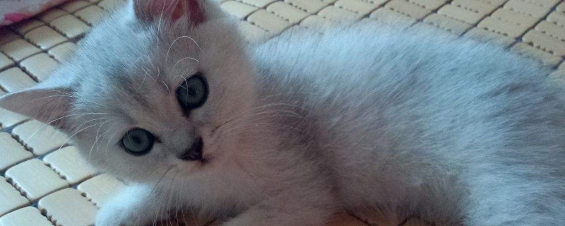 銀漸層純與不純?cè)趺磪^(qū)別